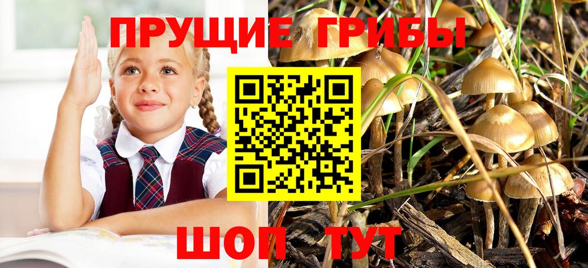 Галлюциногенные грибы прущие грибы Армавир